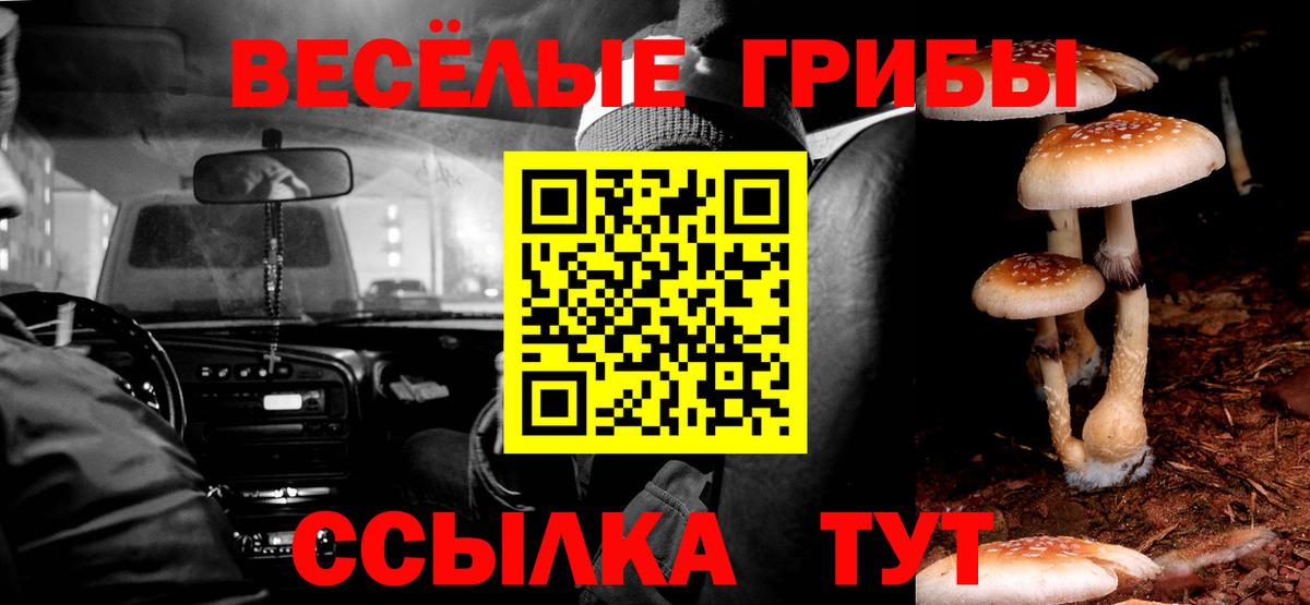 Псилоцибиновые грибы прущие грибы Орёл